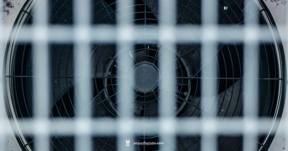 Noisy Filter Fix - Air Purifier Info