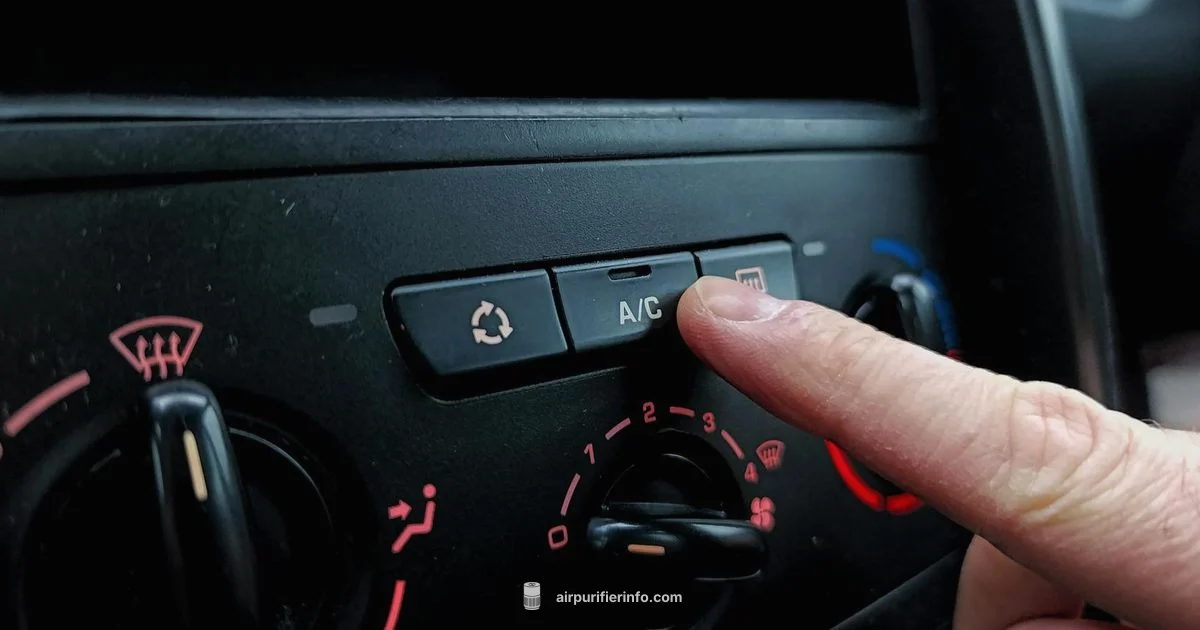 Car Filter Dirt Guide - Air Purifier Info