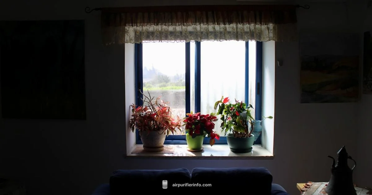 Air Purifier for Allergies - Air Purifier Info