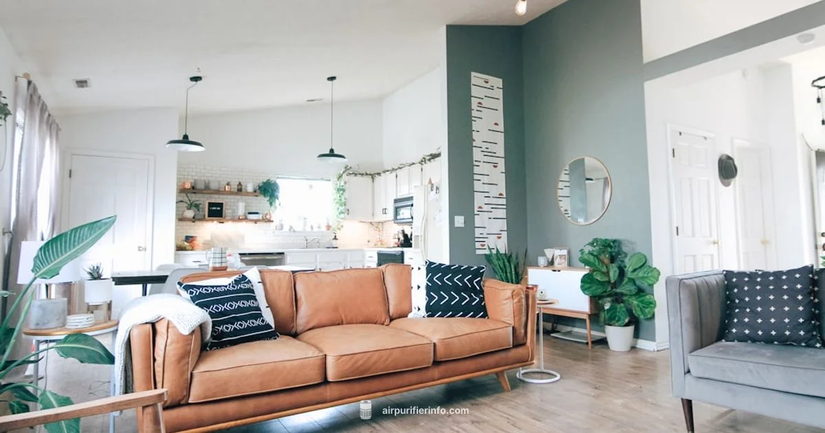 TikTok Guide - Air Purifier Info