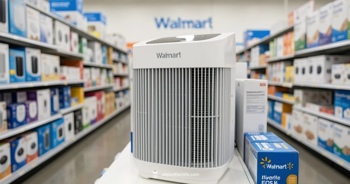 2-in-1 Picks - Air Purifier Info