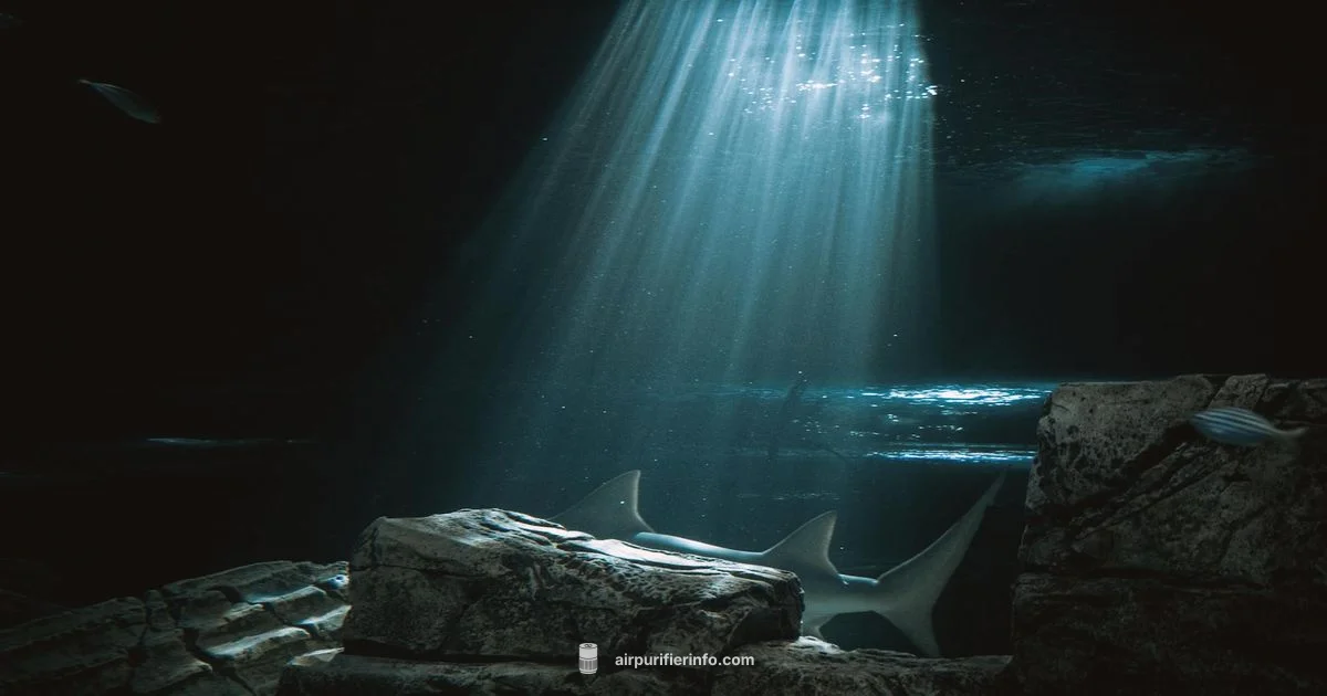 Shark NeverChange Review - Air Purifier Info