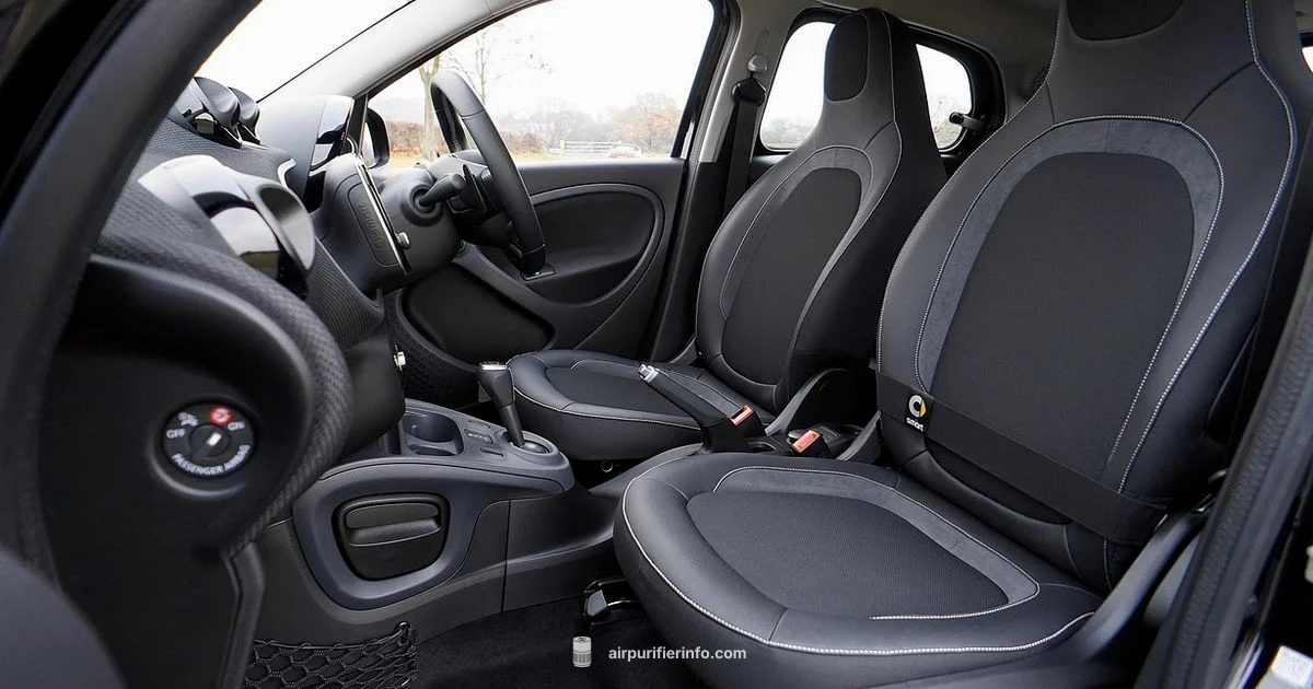 Cabin Filter Basics - Air Purifier Info