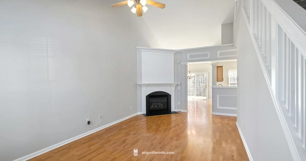 Purifying Fan Guide - Air Purifier Info