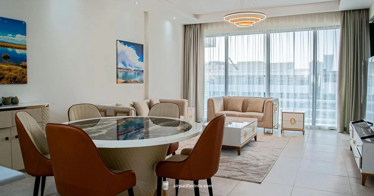 Airmega 250 Review Airmega 250 Review - Air Purifier Info