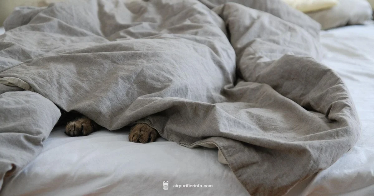 Pet-Safe Bedroom Purifier - Air Purifier Info
