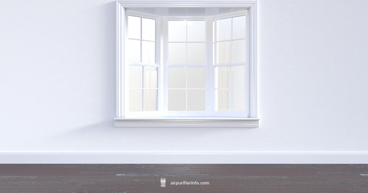 Best Time to Run Best Time to Run - Air Purifier Info