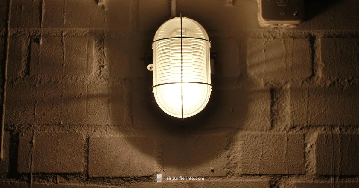 Purifier and Dehumidifier Purifier and Dehumidifier - Air Purifier Info