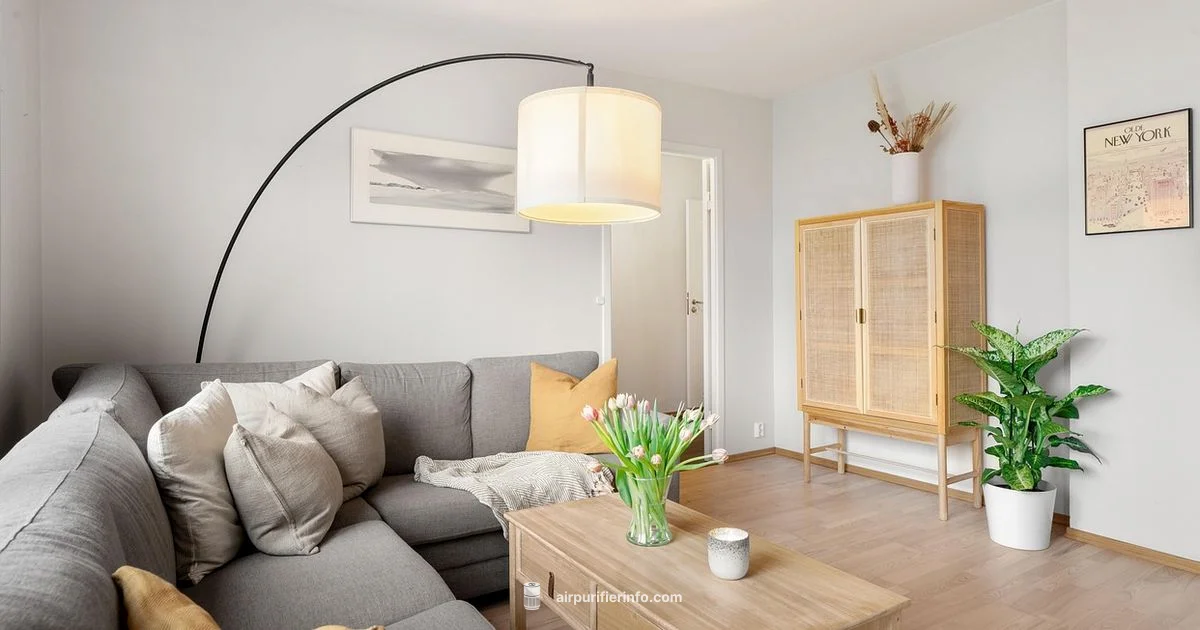 Breathesmart 75i Review - Air Purifier Info