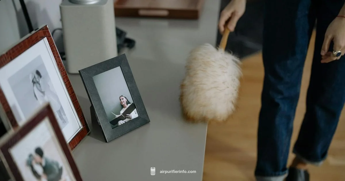 Room Air Filter Guide Room Air Filter Guide - Air Purifier Info