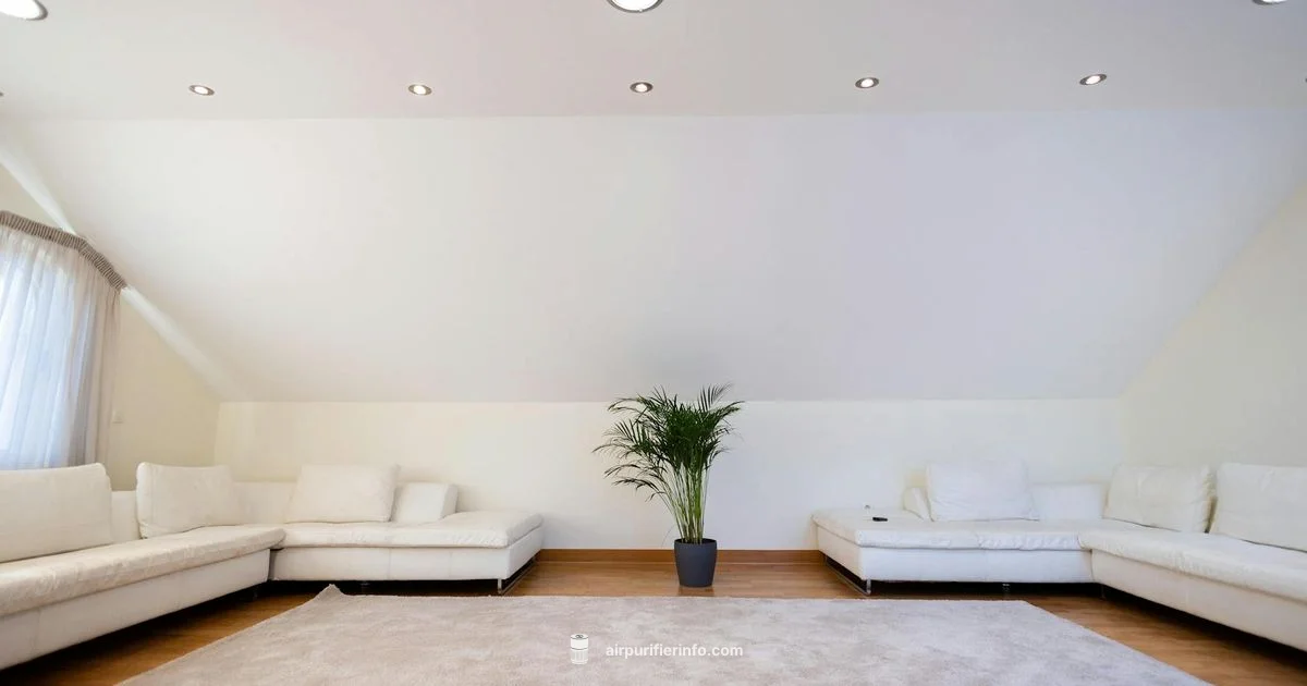 Yiou Filter Replacement - Air Purifier Info