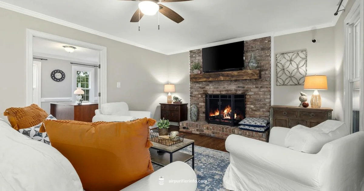 Most Common Air Filter - Air Purifier Info