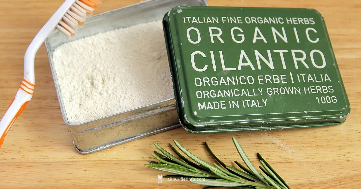 DIY Natural Air Purifier - Air Purifier Info