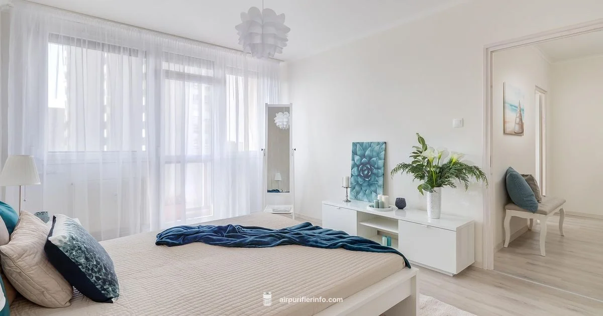 Compact Air Purifier 4 - Air Purifier Info