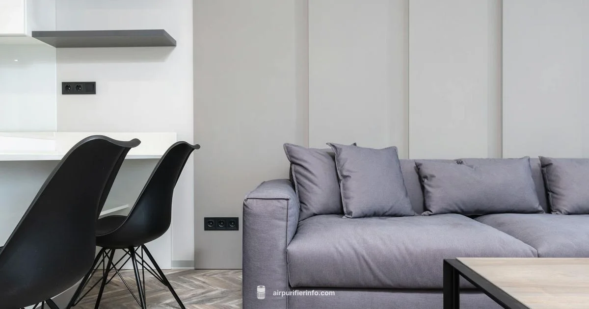 Ion Purifier Overview - Air Purifier Info