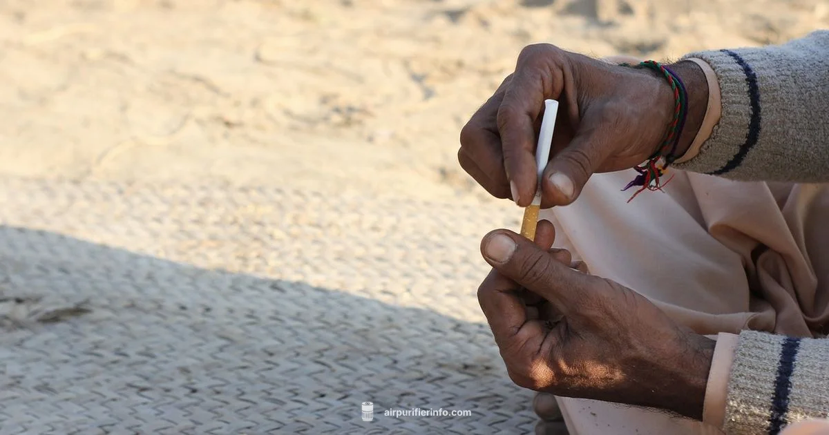 Dual Purifier Ashtray - Air Purifier Info