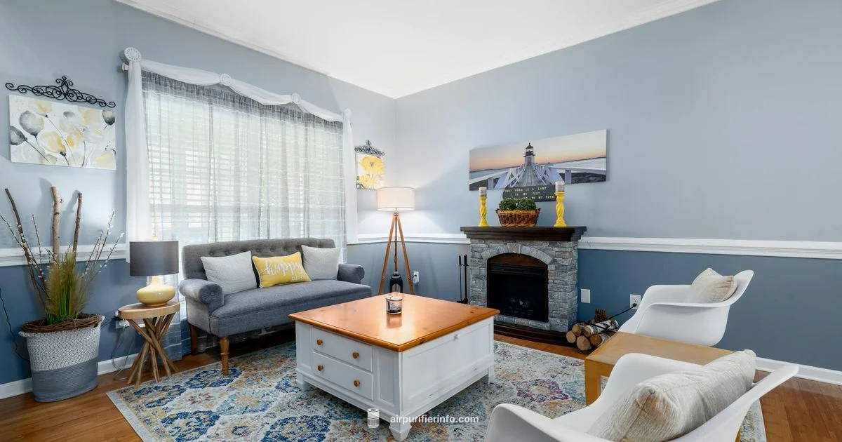 Clean Air at Home - Air Purifier Info