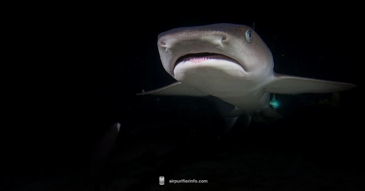 Reset Filter Life - Air Purifier Info