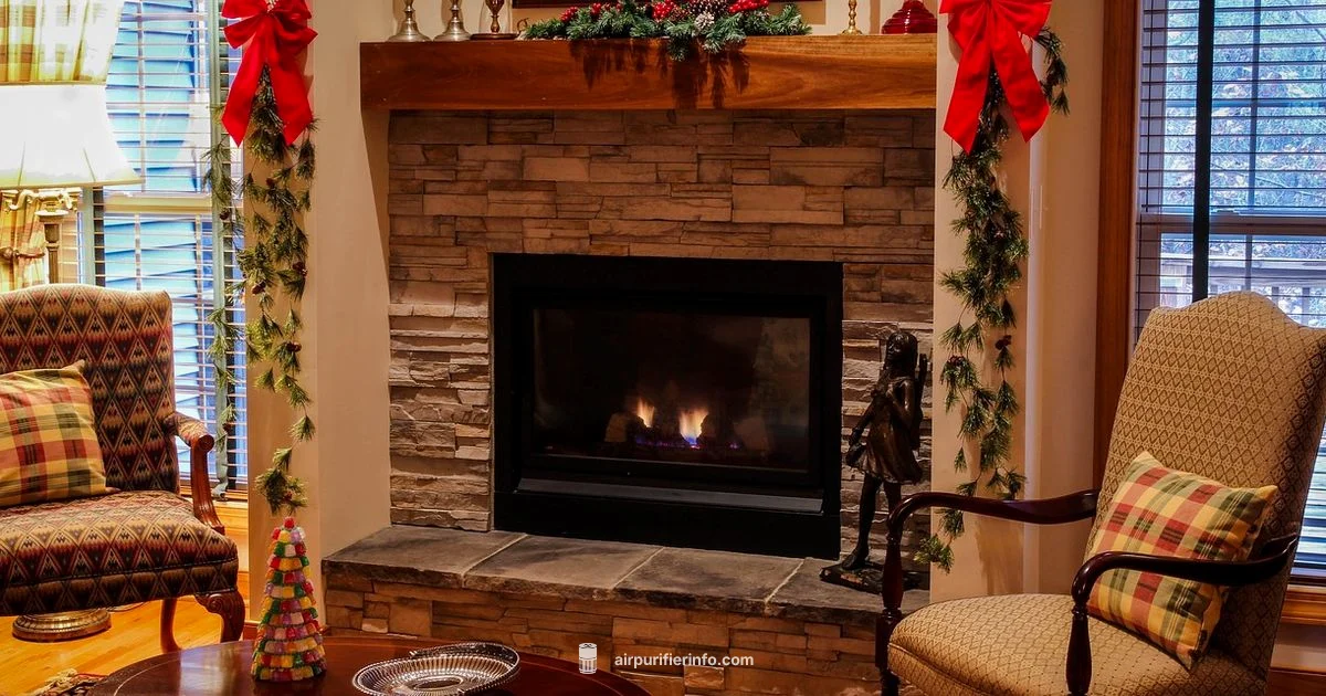 Winter IAQ Guide Winter IAQ Guide - Air Purifier Info