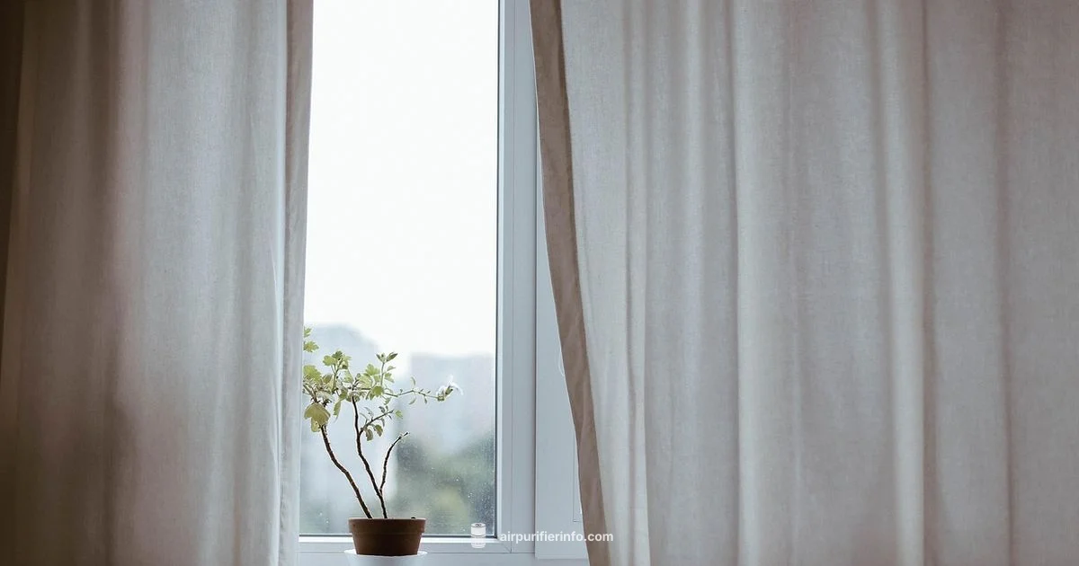 Plants as Purifiers - Air Purifier Info