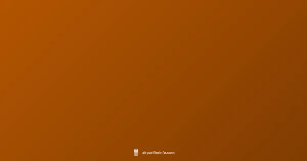 Purifier vs Dehumidifier - Air Purifier Info (illustration)