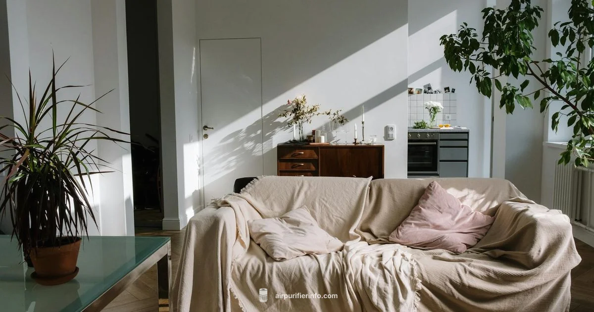 Winter Air Quality - Air Purifier Info