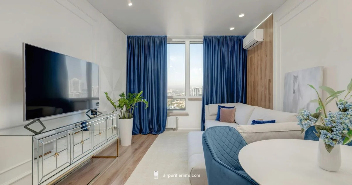 Large Room Purifier - Air Purifier Info