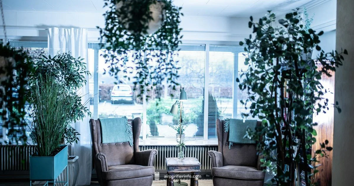 Starkvind Review - Air Purifier Info