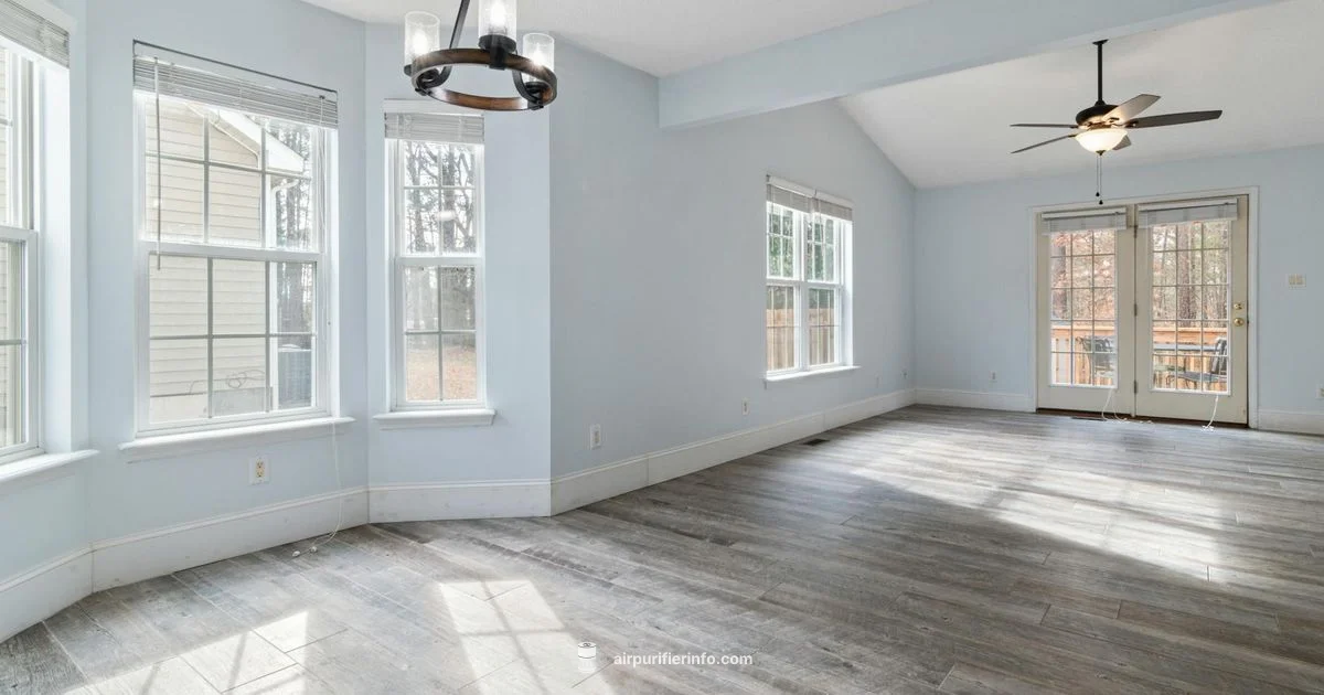 Ionizer Fan Guide - Air Purifier Info