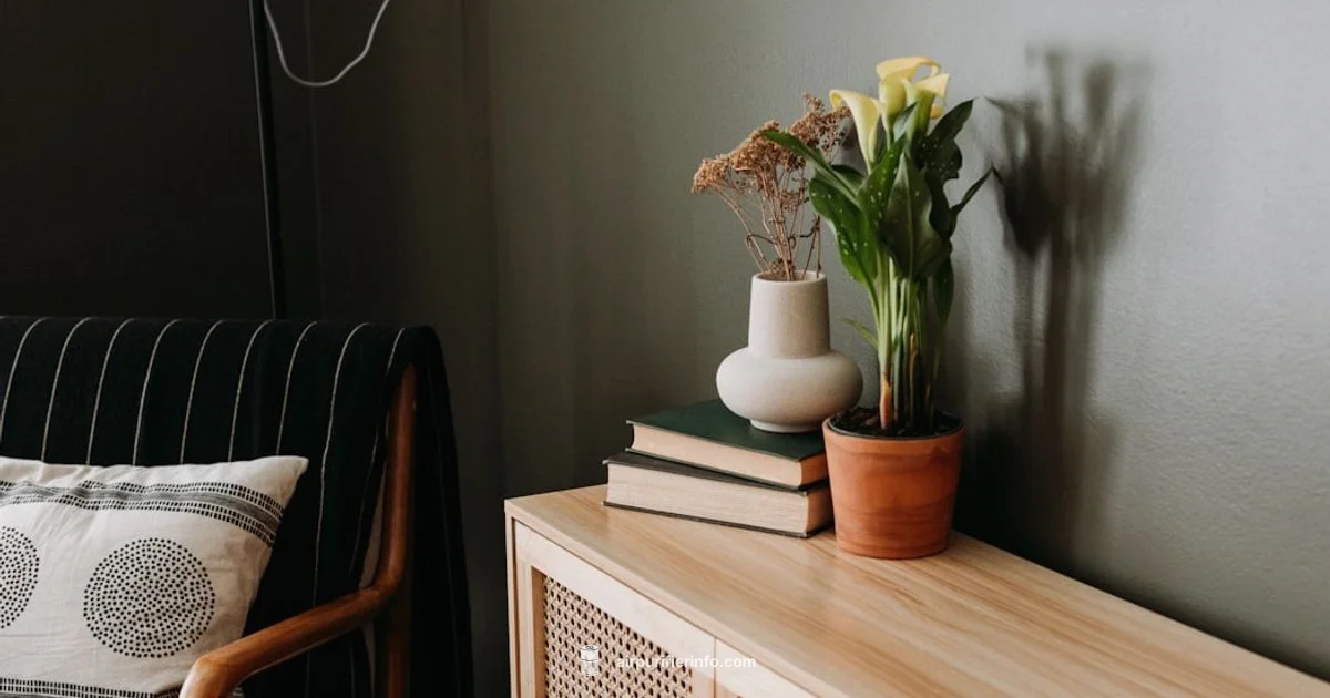 Air Cleaner Guide - Air Purifier Info