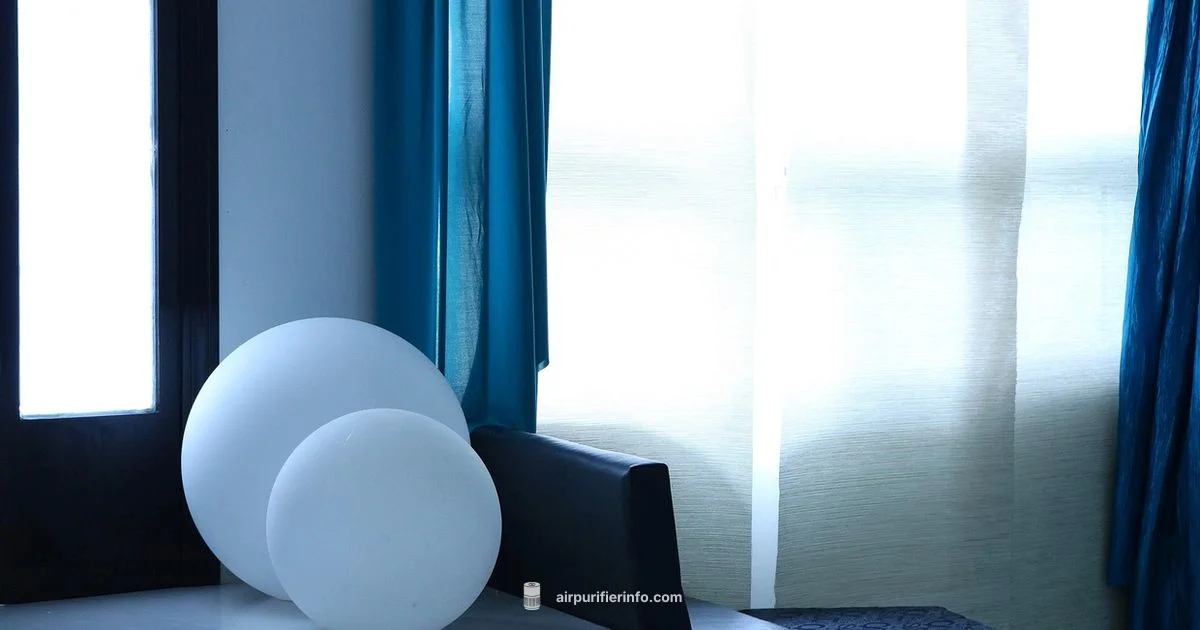 Winix vs Levoit - Air Purifier Info