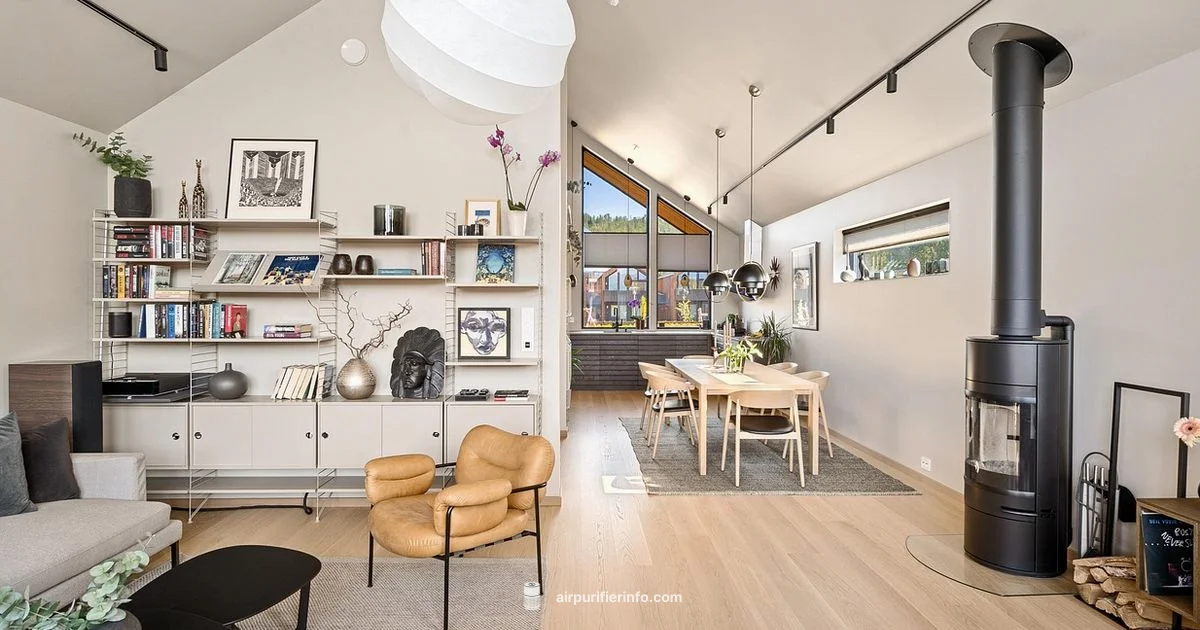 Holmes Setup & Care - Air Purifier Info