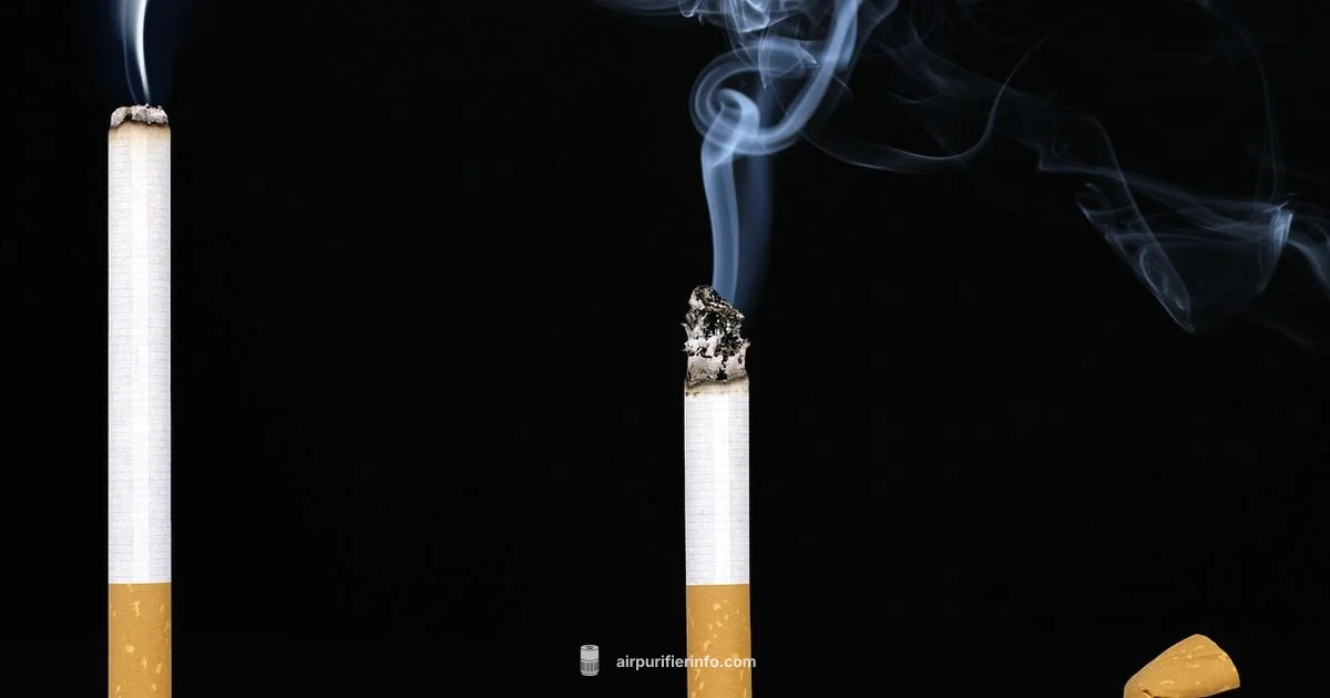 Cig Smoke Purifier Guide Cig Smoke Purifier Guide - Air Purifier Info