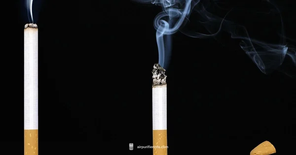 Cig Smoke Purifier Guide - Air Purifier Info