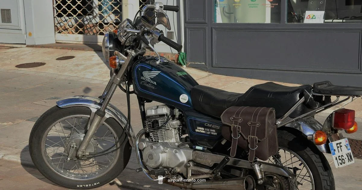 Scooter Air Filter Care - Air Purifier Info