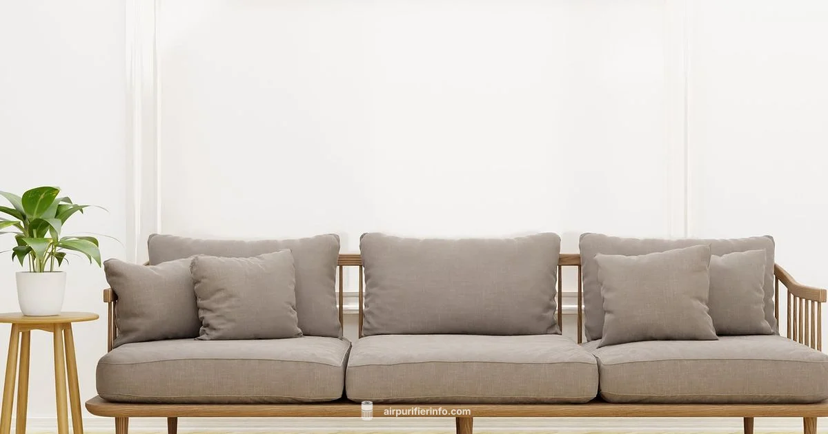 Coway Airmega Review - Air Purifier Info