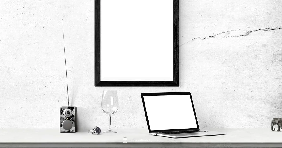 Choosing an Air Purifier - Air Purifier Info