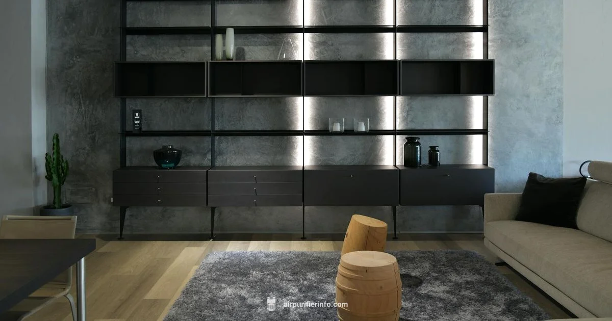 Sans Purifier Overview - Air Purifier Info