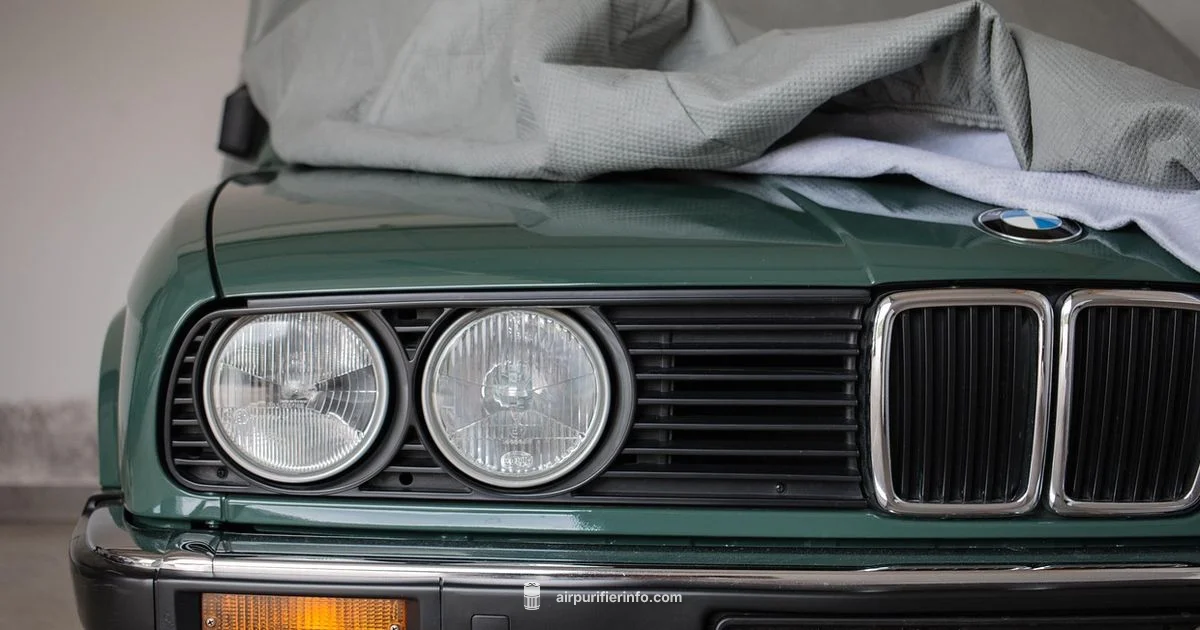 Car Air Filter Location - Air Purifier Info