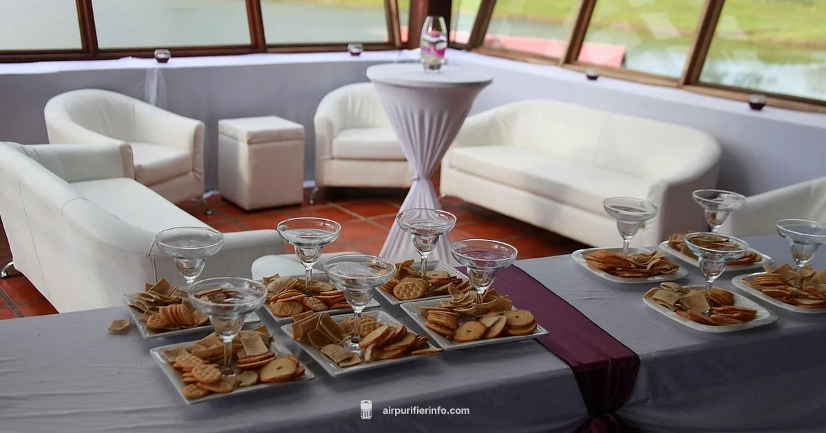 Purifier and Dehumidifier Duo - Air Purifier Info