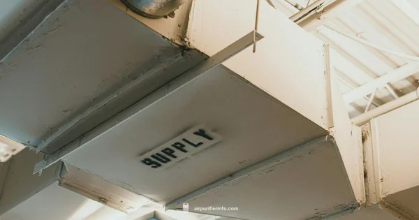 In-Duct Purifier Setup - Air Purifier Info
