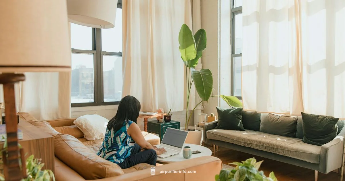 Woot Purifier Guide - Air Purifier Info