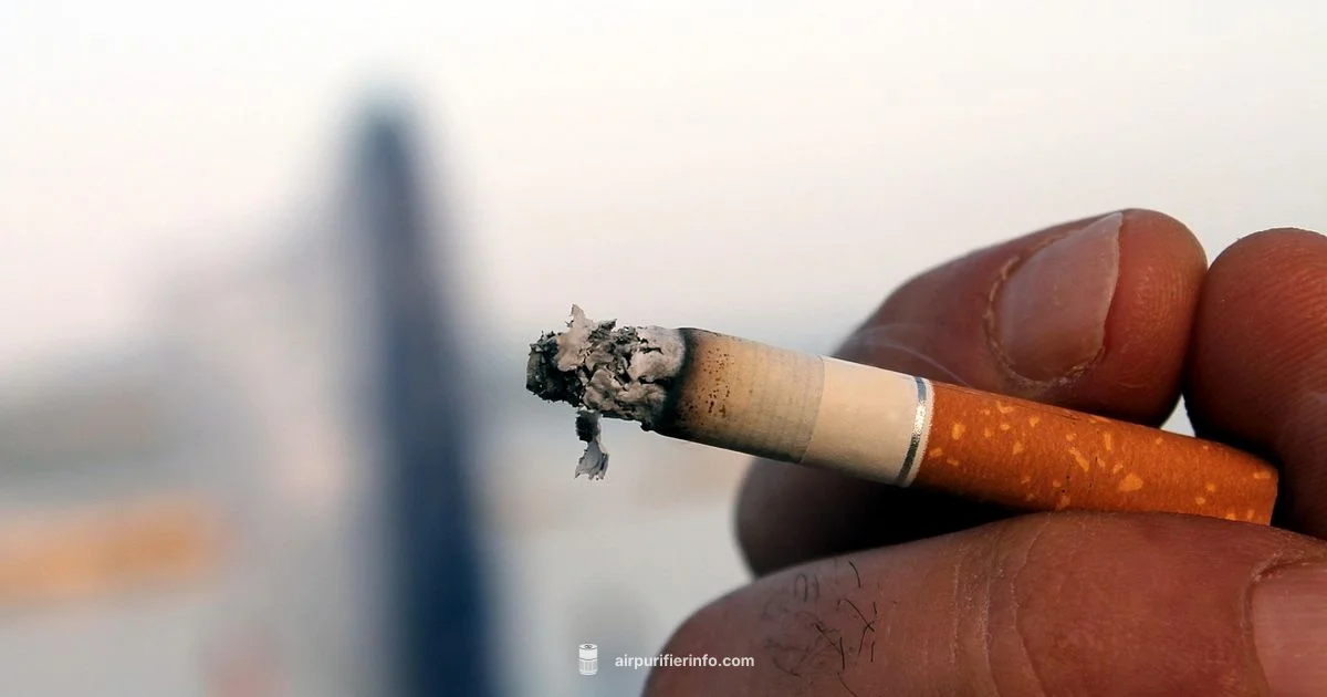 Odor Free Living - Air Purifier Info