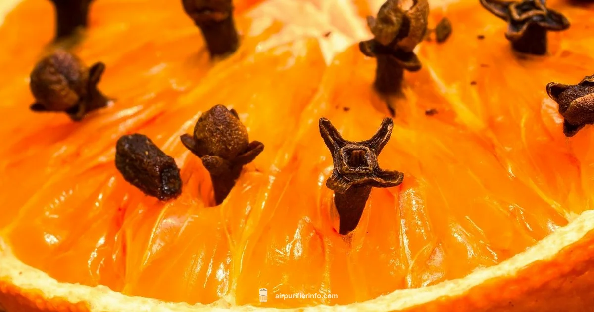 Oil in Purifiers - Air Purifier Info