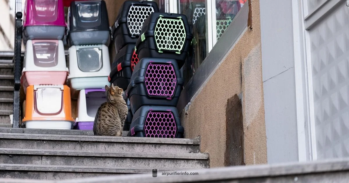 Fresh Air, Clean Litter - Air Purifier Info