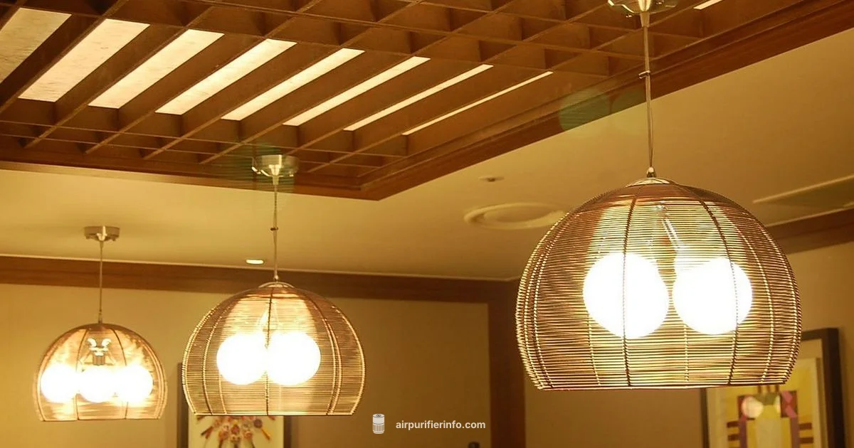 HealthMate in Living Room - Air Purifier Info