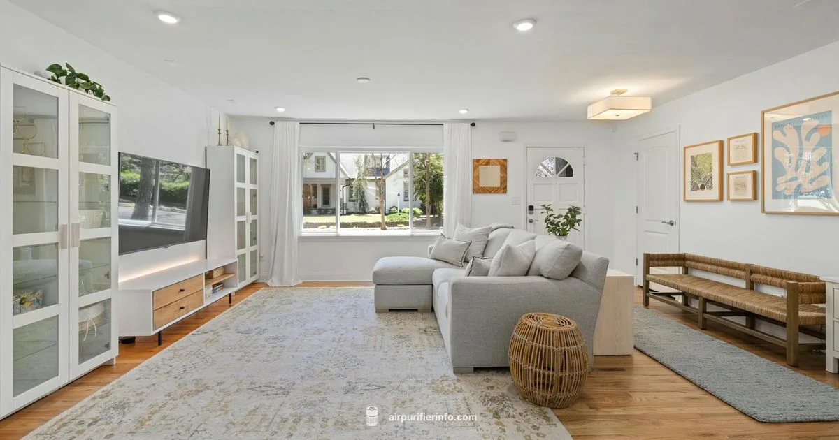 Air Purifier Spotlight - Air Purifier Info