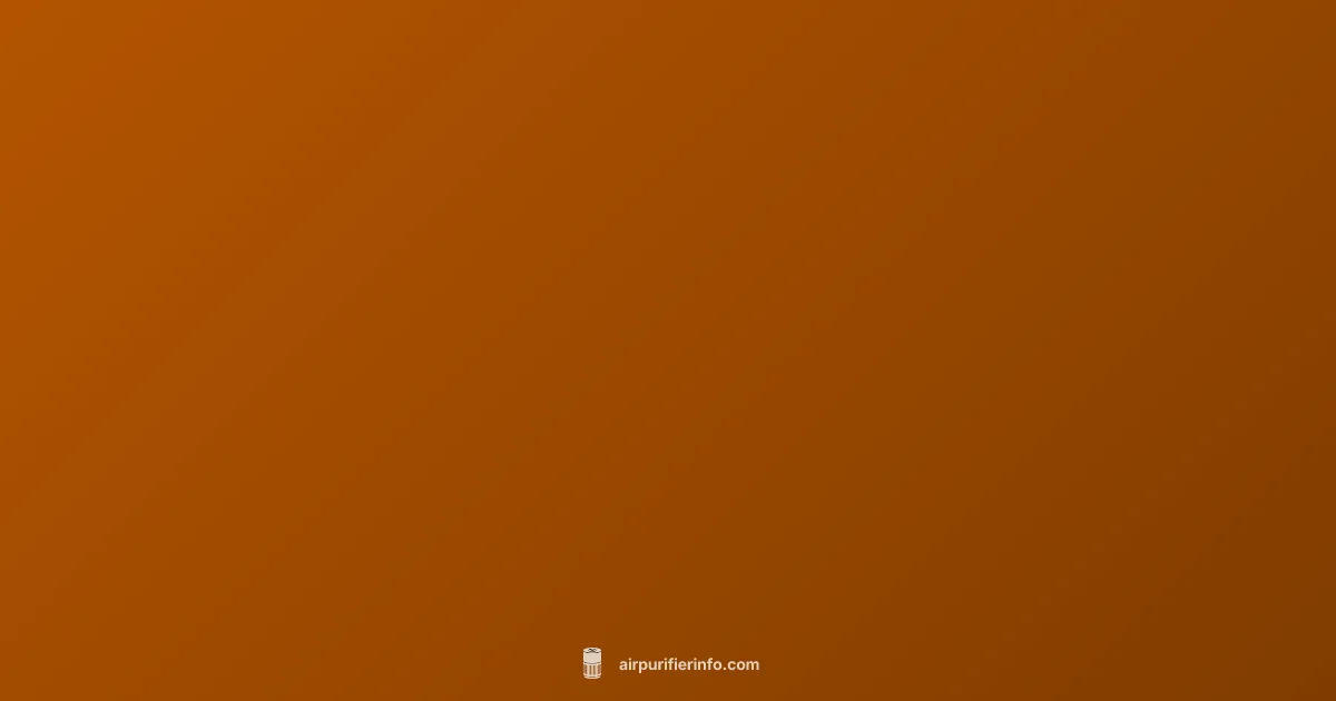 Filter Care Guide Filter Care Guide - Air Purifier Info (illustration)