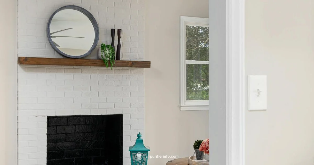 Purifier & Dehumidifier Guide - Air Purifier Info