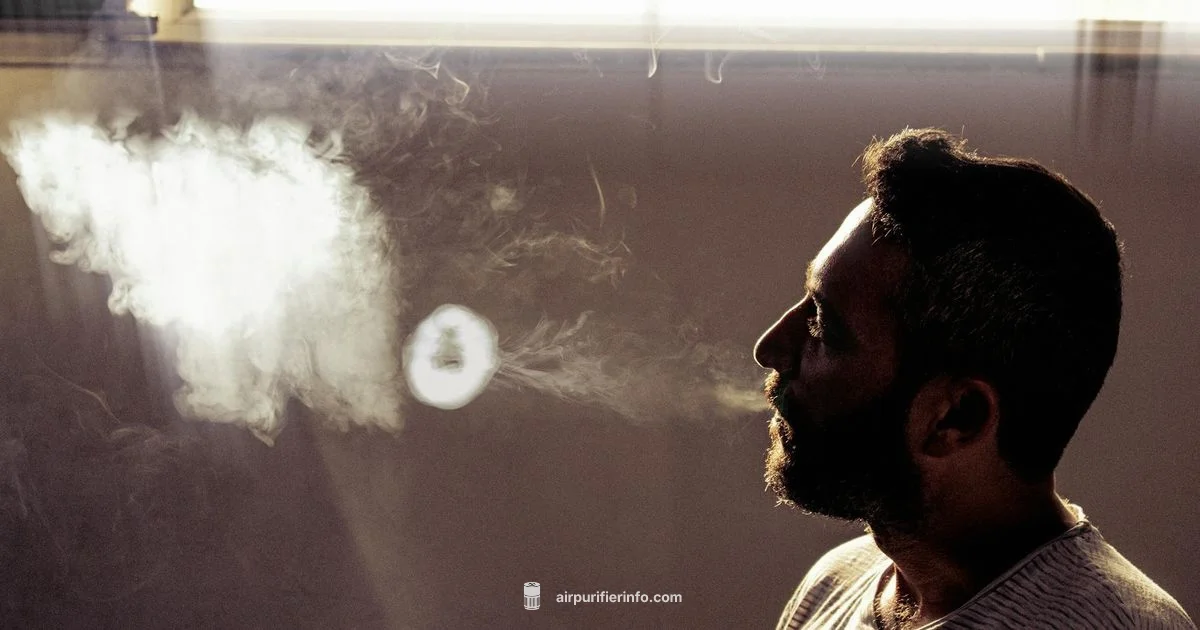 Air Purifier Impact - Air Purifier Info